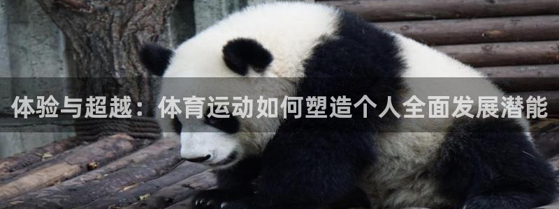 182体育app官方下载入口：体验与超越：体育运动如何塑造个人全面发展潜能