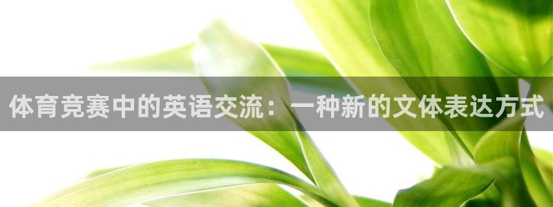 182体育平台登录入口：体育竞赛中的英语交流：一种新的文体表达方式