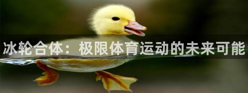 182体育怎么样：冰轮合体：极限体育运动的未来可能