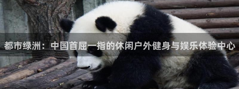 182体育APP官方网站入口：都市绿洲：中国首屈一指的休闲户外健身与娱乐体验中心