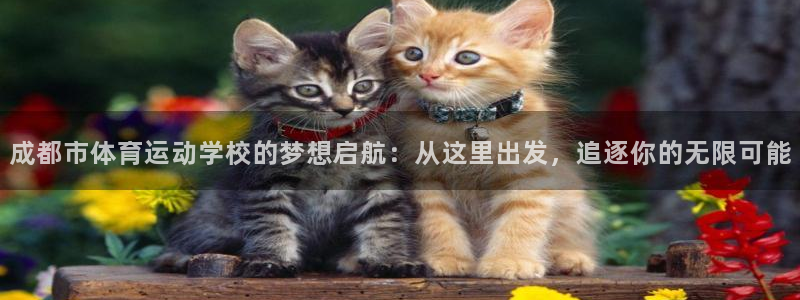 182体育红单足球官网入口：成都市体育运动学校的梦想启航：从这里出发，追逐你的无限可能