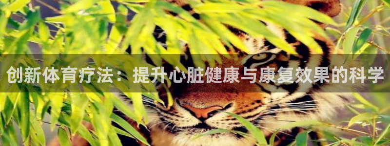 182体育官网能下载吗：创新体育疗法：提升心脏健康与康复效果的科学